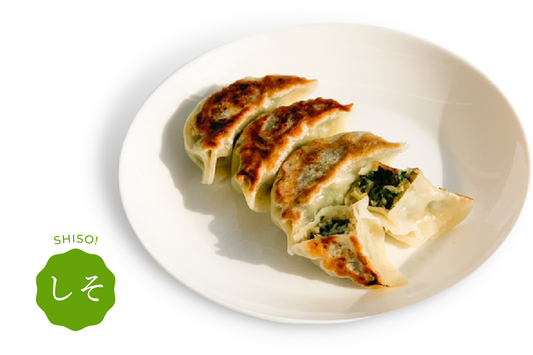 しそ餃子 15個入